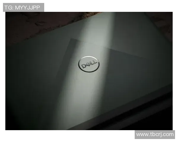 杨丽独家分享：从排球技巧到心理素质的全面心得体会