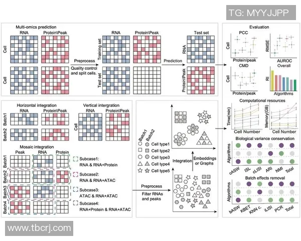 武汉足球队团队协作表现的数据分析与提升策略探讨 武汉足球队团队协作表现的数据分析与提升策略探讨