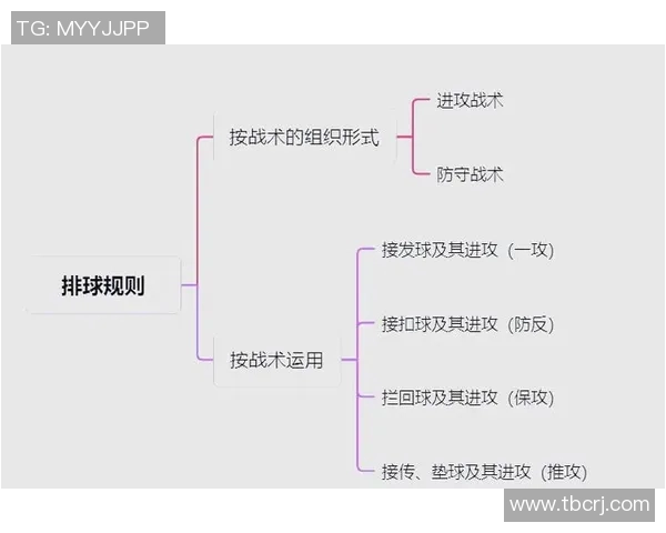上海排球队的节奏变革引发热议新战术如何改变比赛格局